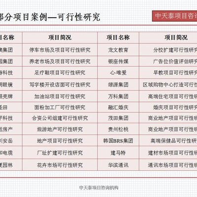 《济南市眼镜架产业重组技改招商项目融资可行性研究报告》写作指南